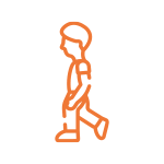réseau de transports développé